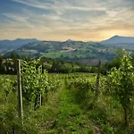Verdicchio - With Wellness For Winelovers Cupramontana