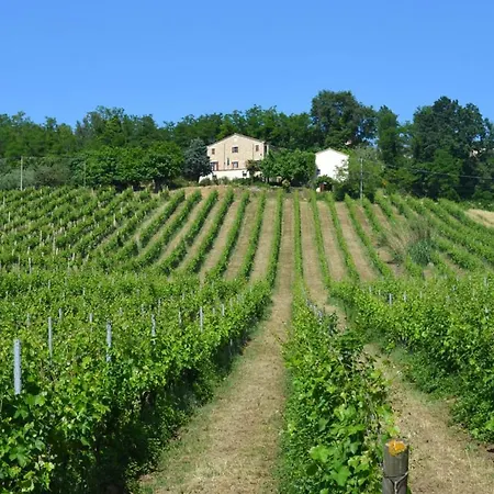 Verdicchio - With Wellness For Winelovers 住宿加早餐酒店