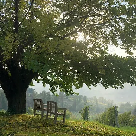 Verdicchio - With Wellness For Winelovers Bed & Breakfast *