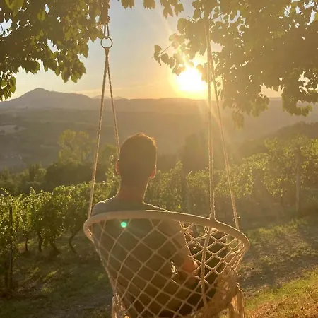 Bed & Breakfast Verdicchio - With Wellness For Winelovers *