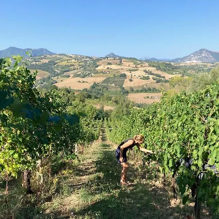 Verdicchio - With Wellness For Winelovers Bed & Breakfast Cupramontana