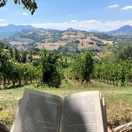 Verdicchio - With Wellness For Winelovers Cupramontana