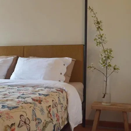 Verdicchio - With Wellness For Winelovers Bed & Breakfast