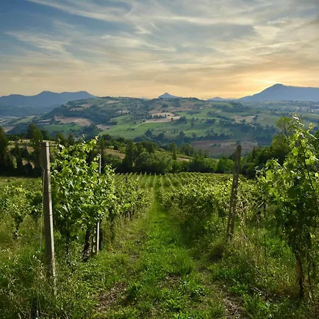 Verdicchio - With Wellness For Winelovers Cupramontana