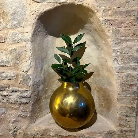 Bed & Breakfast Verdicchio - With Wellness For Winelovers