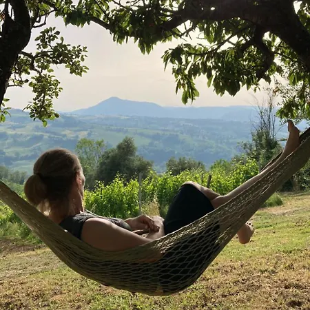 Verdicchio - With Wellness For Winelovers Cupramontana