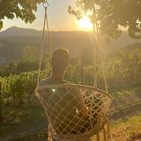 Bed & Breakfast Verdicchio - With Wellness For Winelovers