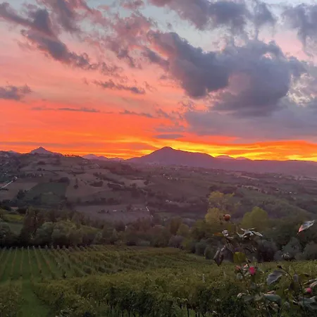 Bed & Breakfast Verdicchio - With Wellness For Winelovers Cupramontana