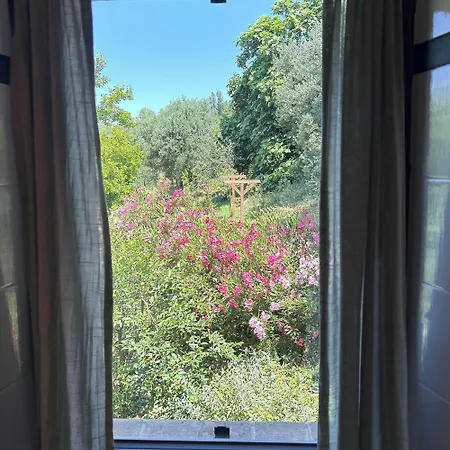Bed & Breakfast Verdicchio - With Wellness For Winelovers