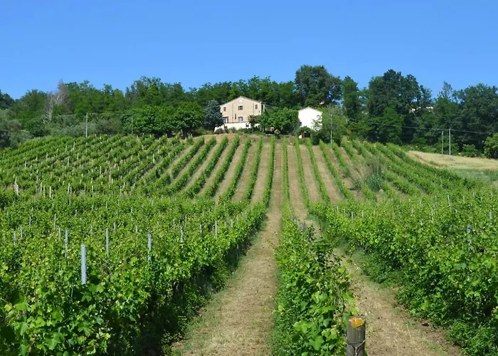 Verdicchio - With Wellness For Winelovers Panzió