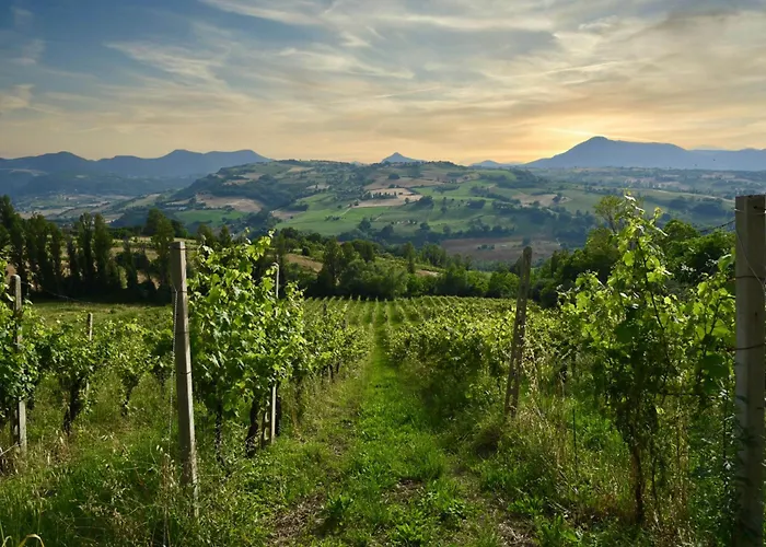 Verdicchio - With Wellness For Winelovers Cupramontana
